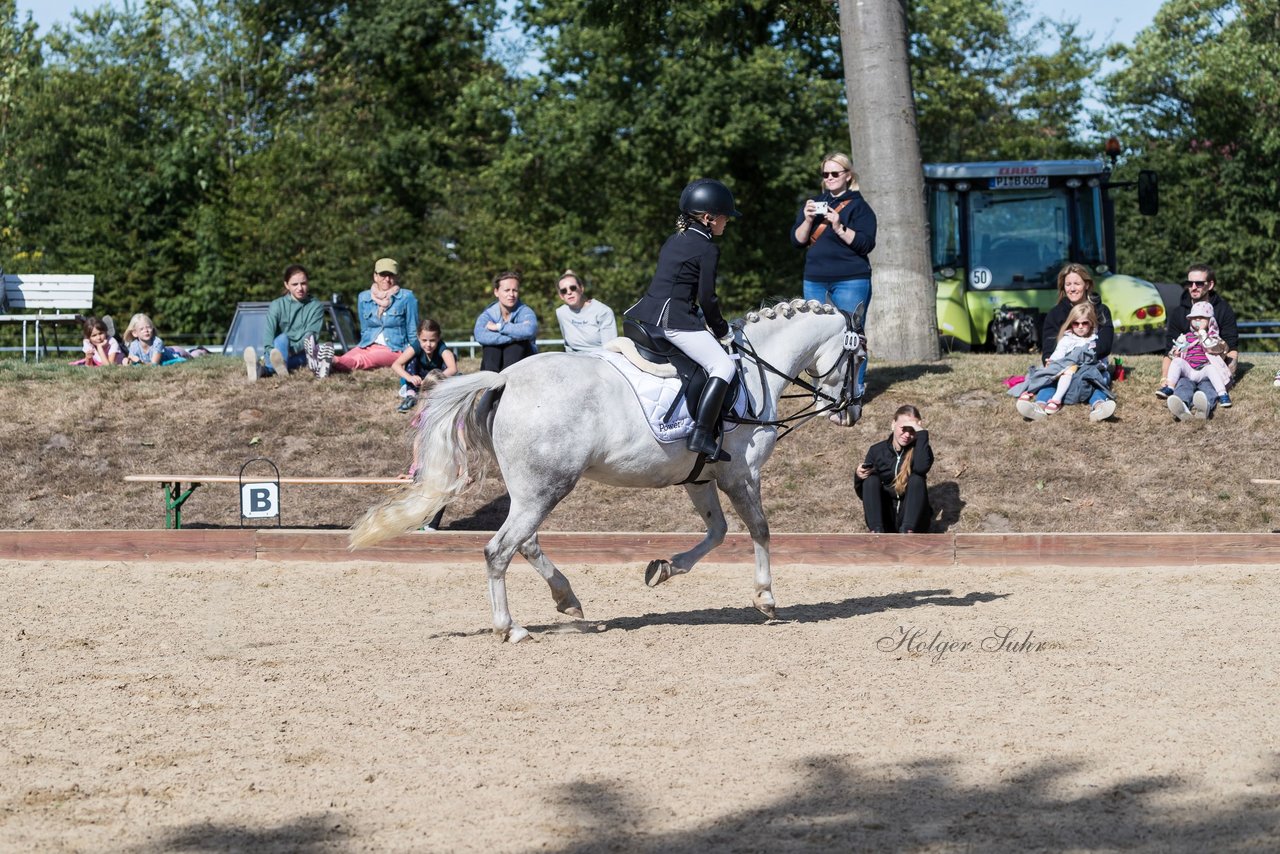 Bild 72 - Pony Akademie Turnier